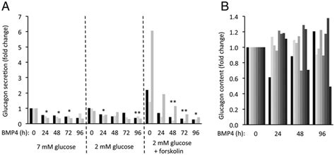 The Effects Of BMP4 On Islets From Human Donors A The Effects Of BMP4