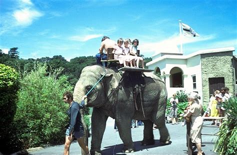 Photo 02 Elephant Riding Copyright © 011981 By Rowyn Montgomery