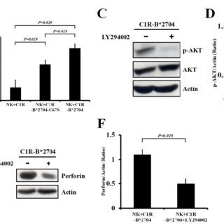 The Effect Of Co Culturing With C1R C1R B 2704 C67S Or C1R B 2704