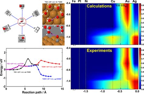 Calculations Of Product Selectivity In Electrochemical Co2 Reduction