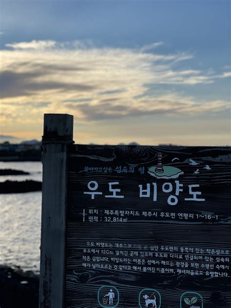 제주도 겨울여행 일출로 시작해서 일몰로 끝나는 제주도 2박3일 여행코스 Zum 허브