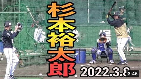 杉本裕太郎 打撃練習 打ち方 フォーム【オリックス 2022年 プロ野球】 草野球のサイトmovie