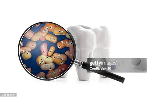 3,473 Plaque Bacteria Stock Photos, High-Res Pictures, and Images ...