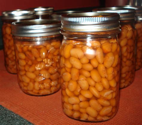 Canning Homemade Beans Pinto Black Kidney How To Process And At