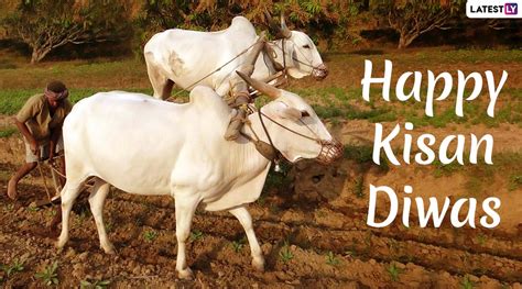 Kisan Diwas Images And Farmers Day Hd Wallpapers For Free Download Online