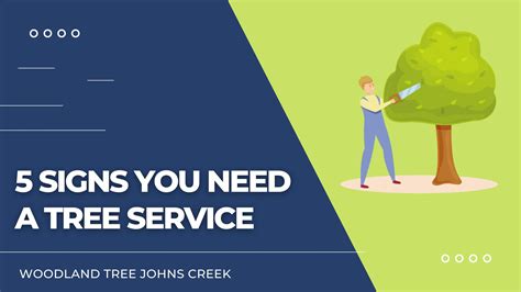 5 Signs You Need A Tree Service By Woodland Tree Johns Creek Issuu