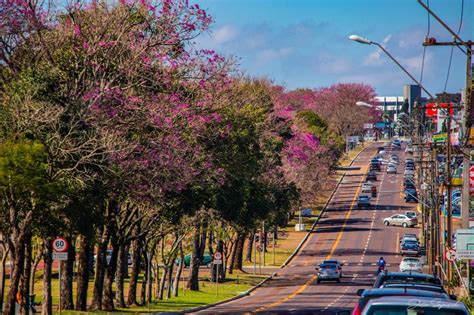 Ranking Aponta Cascavel Como A Quarta Cidade Melhor Planejamento