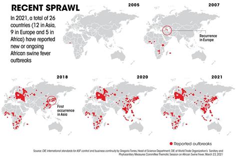 African Swine Fever Forgotten Contagion