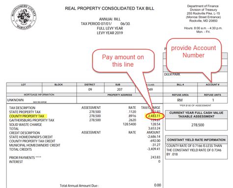 Real Property Tax Prepayment