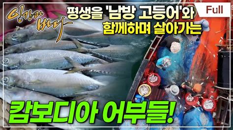 Full 인간과 바다 바다가 준 선물 캄보디아 남방 고등어 Youtube