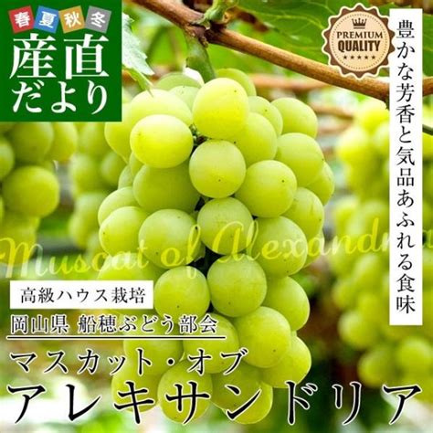 ぶどう マスカット オブ アレキサンドリア 青秀 600g×1房 岡山県産 Jaおかやま 葡萄 ブドウ 【500円引きクーポン】