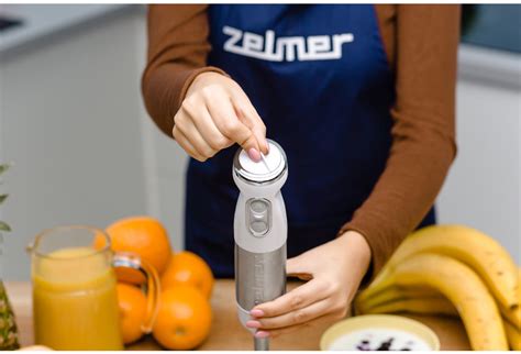 Zelmer ZHB4640 Tyčový mixér, 1000 W | TSBOHEMIA.CZ