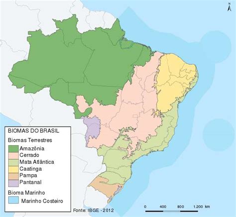 Os Principais Dom Nios Morfoclim Ticos Do Brasil Planeta Biologia