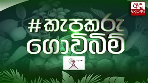 විද්‍යුත් විකාශකයින්ගේ සංසදය ඉදිරිපත් කරන කැපකරු ගොවිබිම් පිළිබඳ