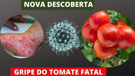 MATA MAIS QUE CORONA VÍRUS GRIPE DO TOMATE TOMEM CUIDADO É MUITO SÉRIO