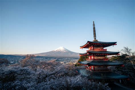 Ultimate Guide to the Top 5 Most Beautiful Pagodas in Japan