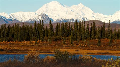 Mount Denali Mckinley View From The Parks Highway South Of Cantwell