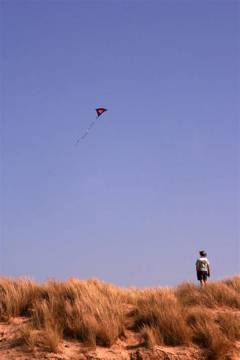 Kite Flying Free Photo Download | FreeImages