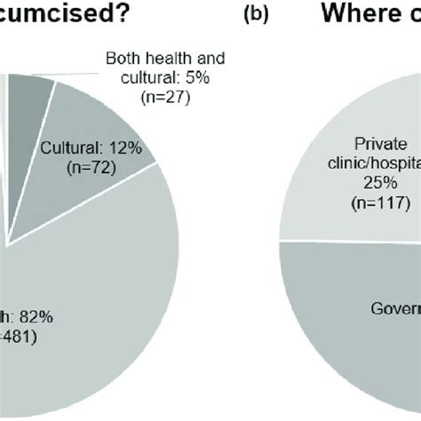 Circumcision Prevalence Over Time And Age Groups Ahri Surveillance