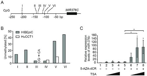 Methylation Of Mir 376c A Location Of The Six Cpg Sites Sites I Vi Download Scientific