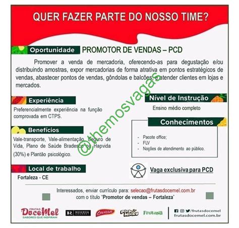 Promotor A De Vendas PCD Fortaleza CE 01 Vaga S Themos