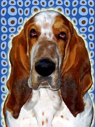 Basset Hound Art Portrait