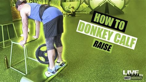 How To Do A DONKEY CALF RAISE | Exercise Demonstration Video and Guide ...