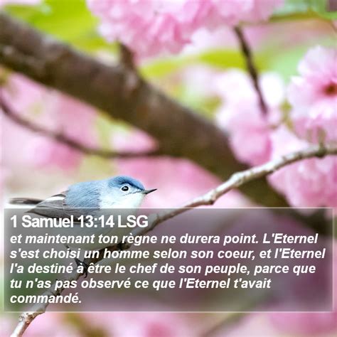 1 Samuel 13 14 LSG et maintenant ton règne ne durera point