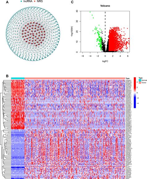 Frontiers Construction And Validation Of A Necroptosis Related