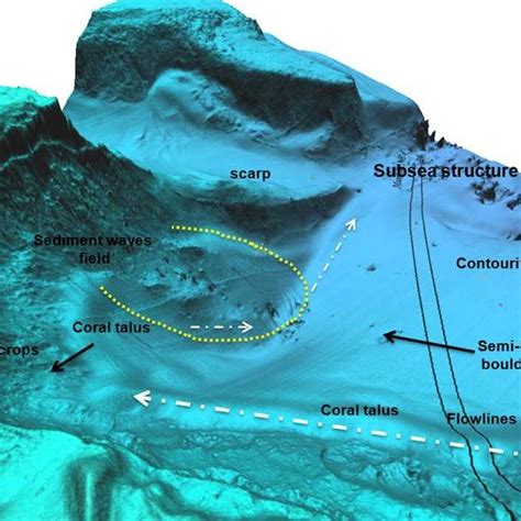 Example of seabed mapping and relative legend | Download Scientific Diagram