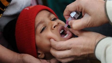 How India Managed To Defeat Polio Bbc News