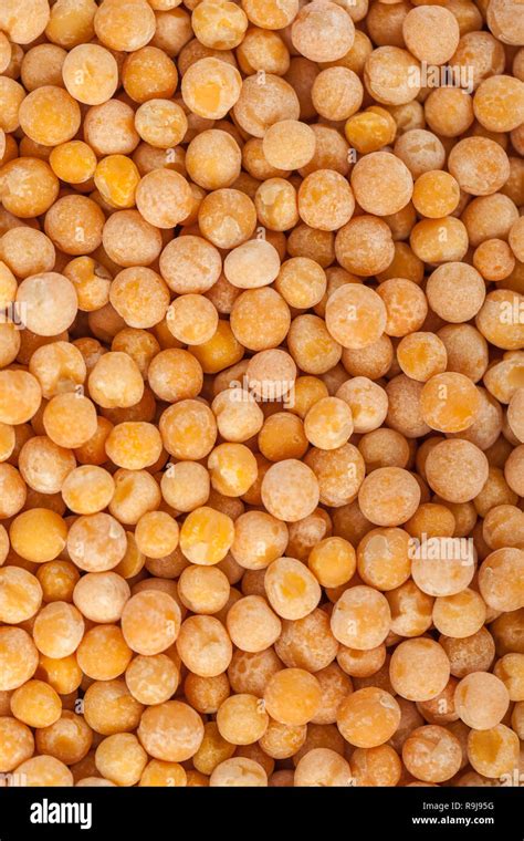 Yellow Mustard Seeds For Backgrounds Or Textures Healthy Food Stock