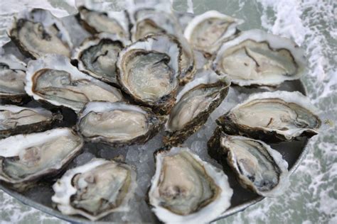 What You Need To Know About Oysters And Vibrio Vulnificus