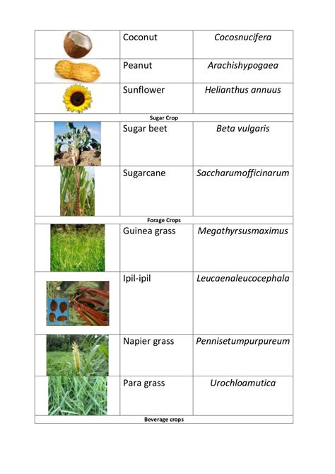 Scientific Names