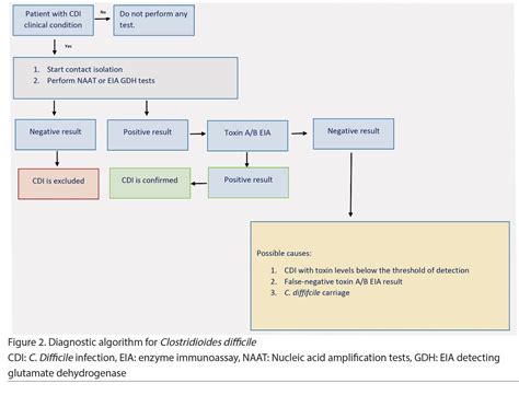 Clostridioides Difficile Infection A Serious Complication Of