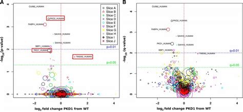 Identification of Biomarkers from Urinary Exosomes | Exosome RNA