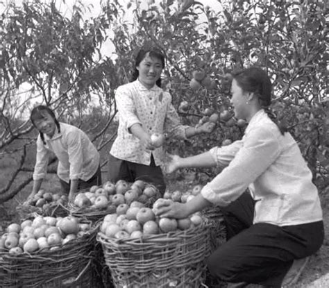 60年代人民公社老照片 看看中国农村如何赶英超美