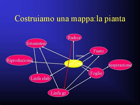 Mappe Concettuali Chiara Sanna Mappe Concettuali Mappe Cognitive