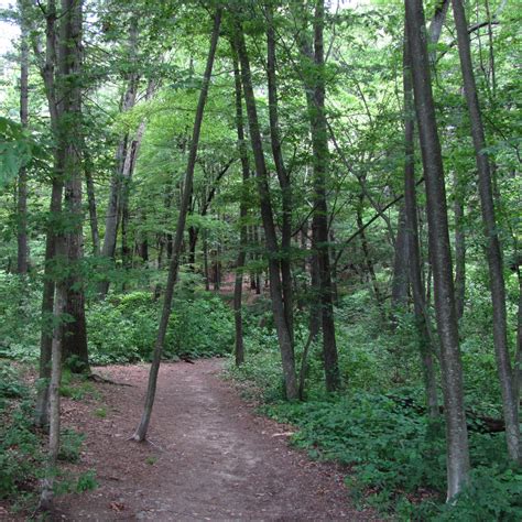 Southaven County Park Camping Brookhaven Ny