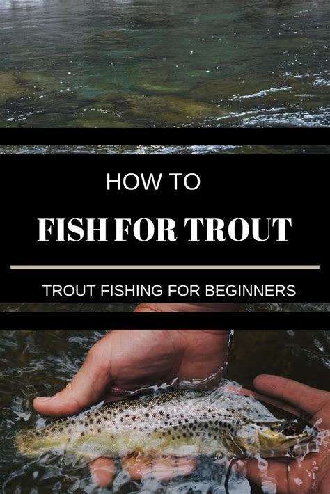 Trout Fishing 101 Have You Ever Want To Learn How To Fish Have You