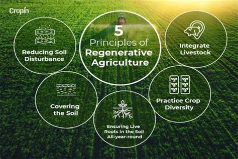 Regenerative Farming | IASbaba