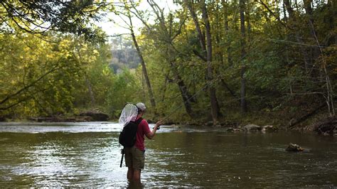 Fly Fishing Virginia (An Angler's Guide) - Into Fly Fishing