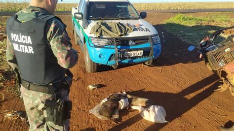 Polícia Ambiental De Amambai Ms Prende E Autua Caçador Por Abate De