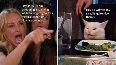 Cat Eating Salad Meme - Cats and memes, what can be better than this ...