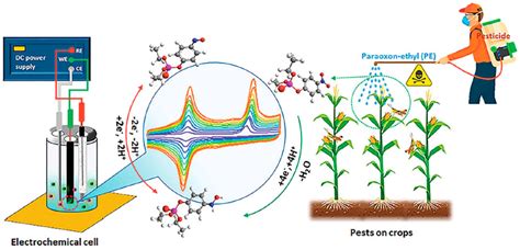 Chemosensors Free Full Text Recent Advances In Chemical Sensors For