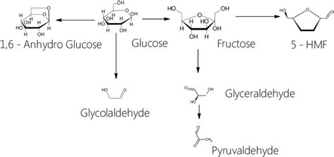 Main Reaction Pathways Of Glucose And Fructose Hydrolysis Download Scientific Diagram