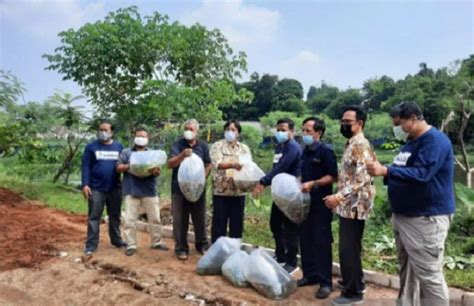 Depok Kembangkan Budidaya Ikan Hias Lokal Bala Shark Sahabat Rakyat Jabar