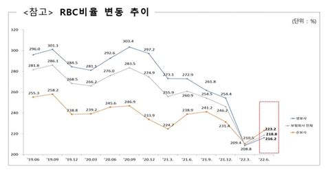 6월 보험사 Rbc비율 219전분기比 94p↑ 네이트 뉴스