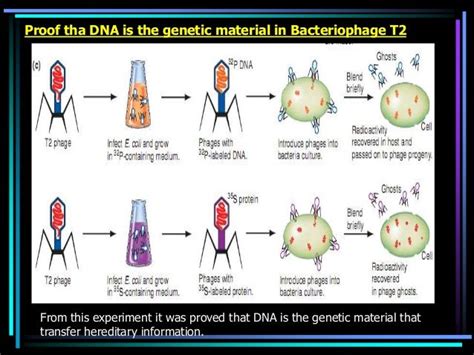 DNA as genetic material