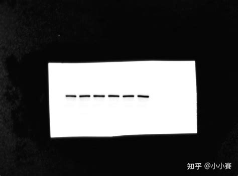 用免疫印迹（western Blot）方法，检测大鼠血小板样本中目的基因蛋白水平 知乎